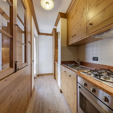 Chalet Ronco - Stayincortina 公寓 科尔蒂纳丹佩佐